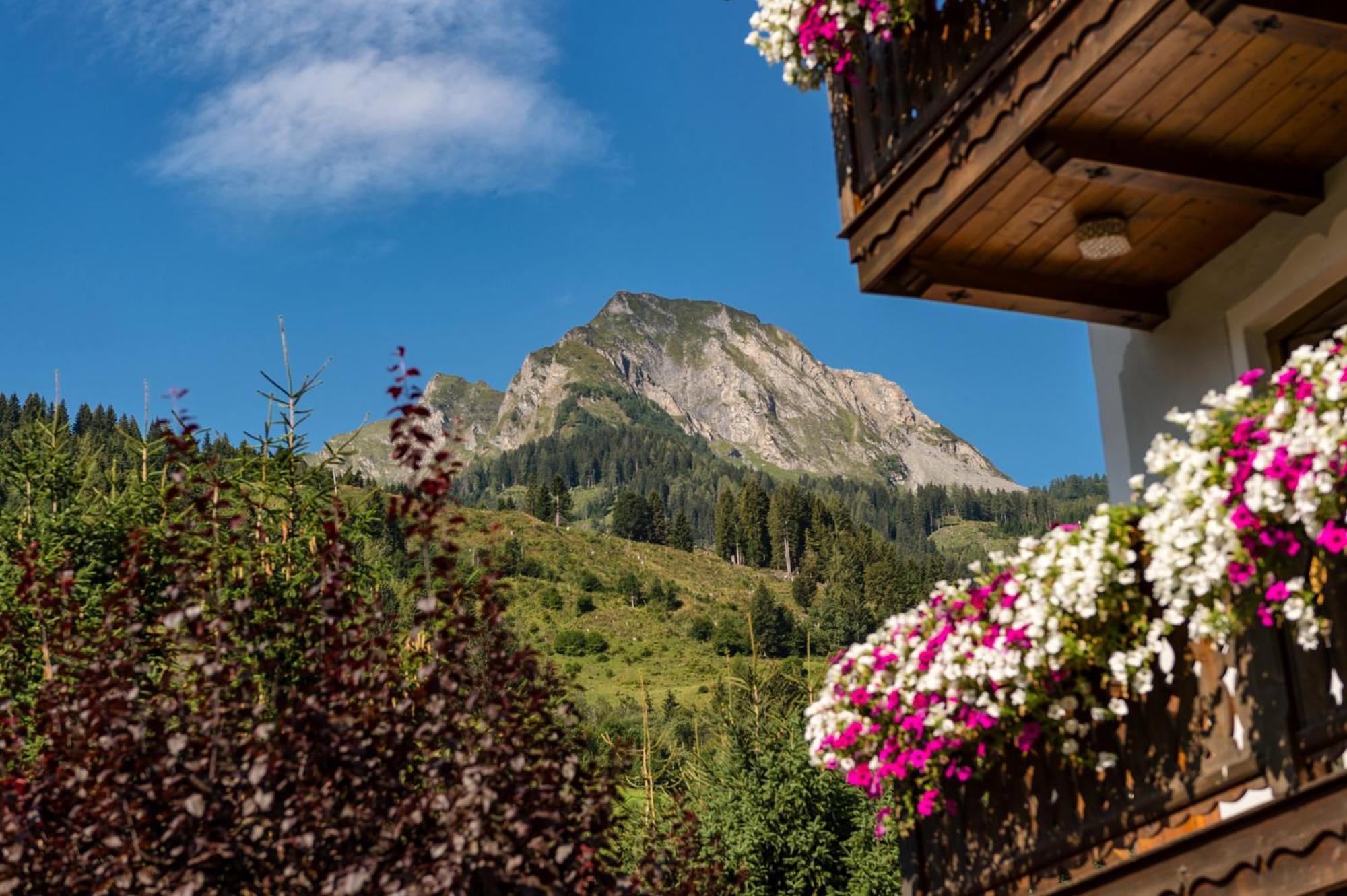 Bauernhofhotel "Die Unterbergerin" - Zimmer Mit Fruehstueck Und Ferienwohnungen In Gastein Mit Gratis Thermeneintritt Dorfgastein Esterno foto
