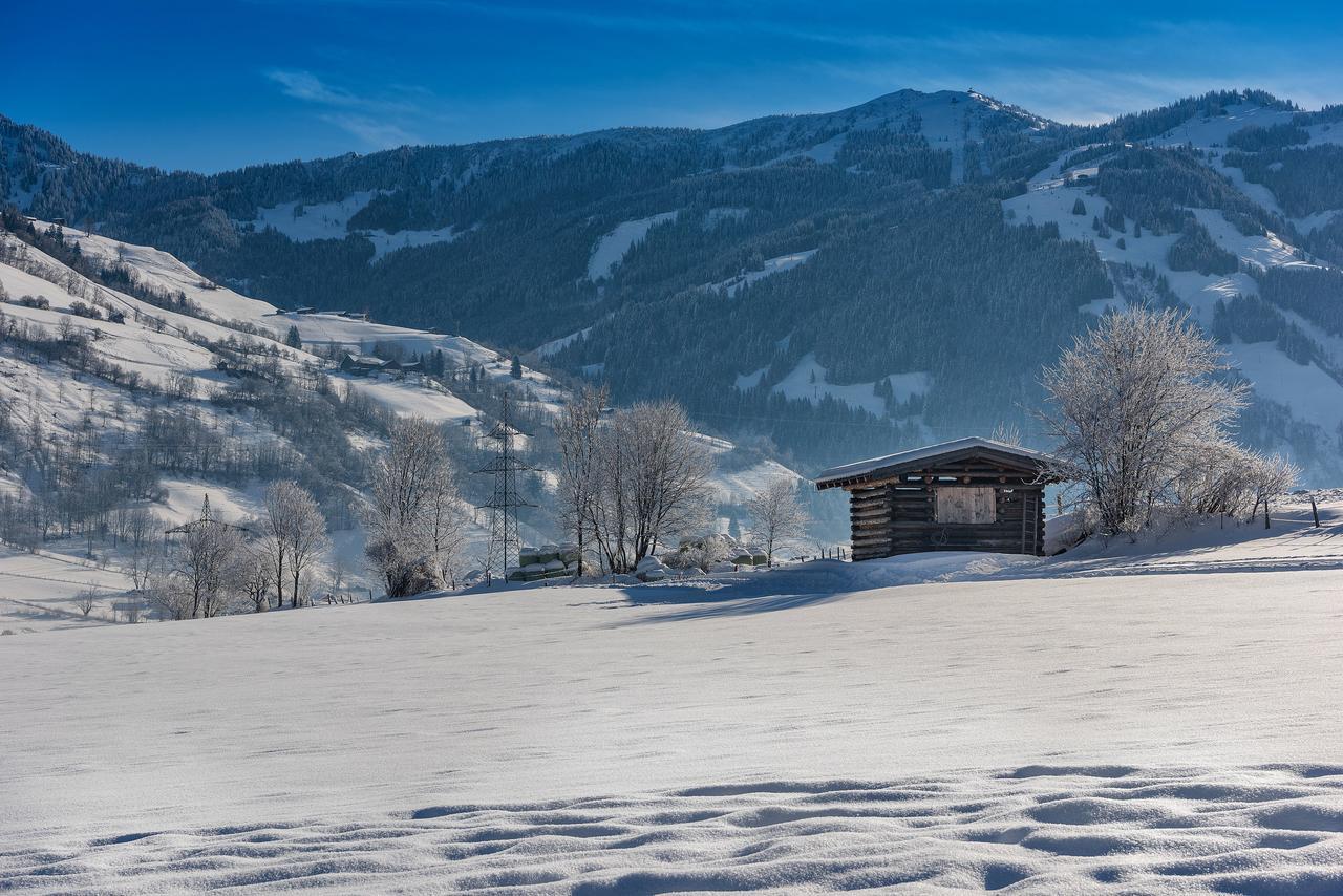 Bauernhofhotel "Die Unterbergerin" - Zimmer Mit Fruehstueck Und Ferienwohnungen In Gastein Mit Gratis Thermeneintritt Dorfgastein Esterno foto